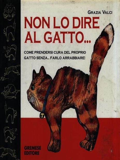 Non lo dire al gatto - Grazia Valci - 2