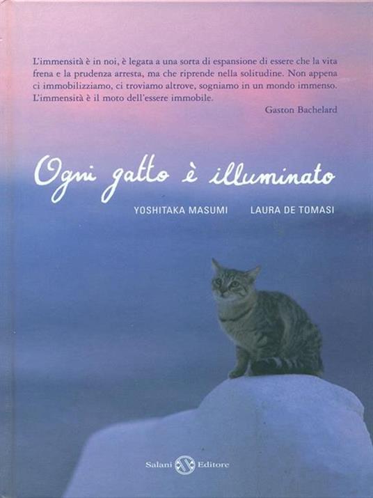 Ogni gatto è illuminato - Yoshitaka Masumi,Laura De Tomasi - copertina