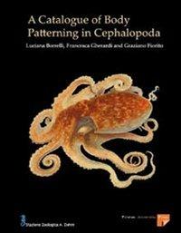 A catalogue of body patterning in Cephalopoda - Luciana Borrelli,Francesca Gherardi,Graziano Fiorito - copertina