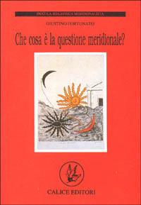 Che cosa è la questione meridionale - Giustino Fortunato - copertina