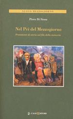 Nel PCI del Mezzogiorno. Frammenti di storia sul filo della memoria