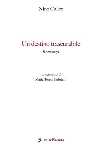 Un destino trascurabile - Nino Calice - copertina