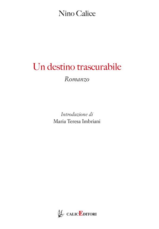 Un destino trascurabile - Nino Calice - copertina