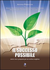 Il successo possibile - Antonio Perruggini - copertina