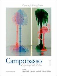 Campobasso. Capoluogo del Molise. Ediz. illustrata. Vol. 1: Storia, evoluzione urbanistica, economia e società - copertina