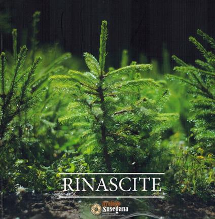 Rinascite - copertina