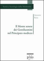 Il Monte senese dei Gentiluomini nel principato mediceo