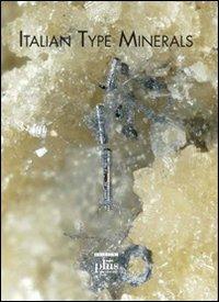 Italian type minerals. Ediz. inglese - Marco E. Ciriotti,Lorenza Fascio,Marco Pasero - copertina