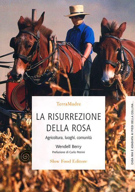 La risurrezione della rosa. Agricoltura, luoghi, comunità - Wendell Berry - copertina