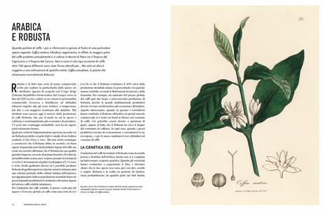 Il mondo del caffè. Storia, produzione, geografia, cultura - James Hoffmann - 3