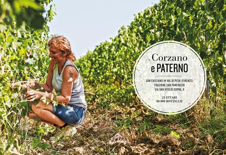 Il grande viaggio nel vino italiano. Racconti di vita, vigne, vini - 5