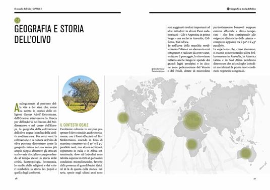 Il mondo dell'olio. Storia, produzione, uso in cucina dell'extravergine. Nuova ediz. - 4