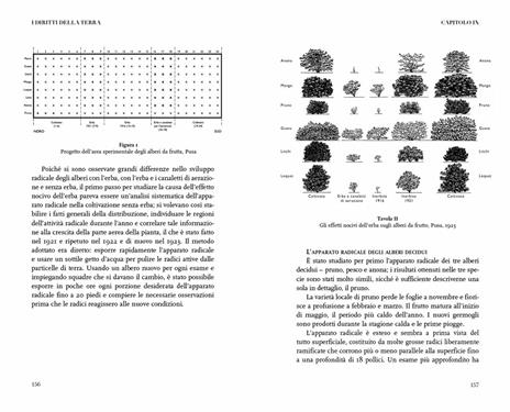 I diritti della terra. Alle radici dell'agricoltura naturale - Albert Howard - 6