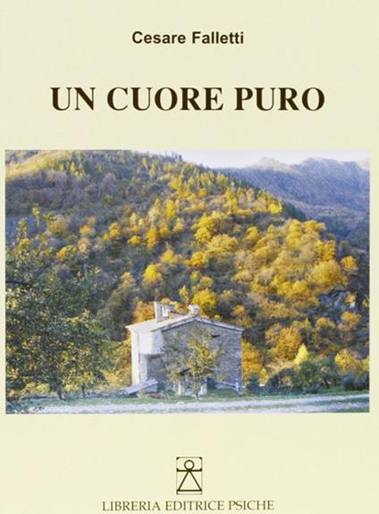 Un cuore puro - Cesare Falletti - copertina