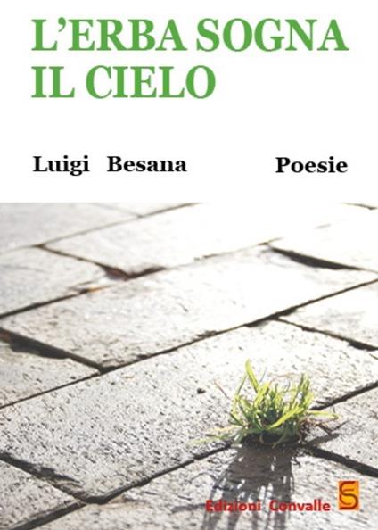 L' erba sogna il cielo - Luigi Besana - copertina
