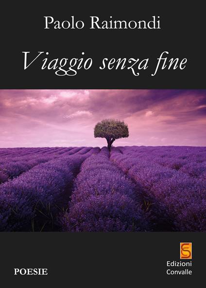 Viaggio senza fine - Paolo Raimondi - copertina