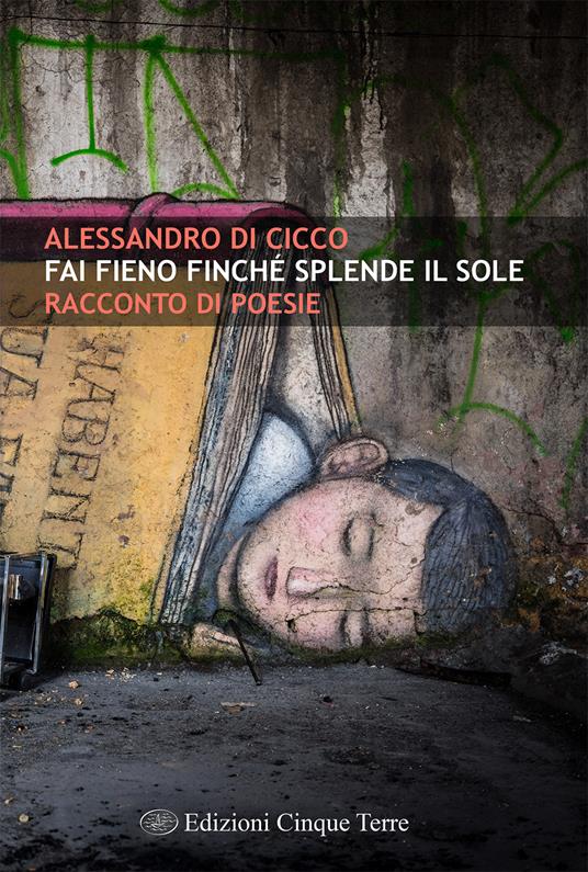 Fai fieno finché splende il sole - Alessandro Di Cicco - copertina