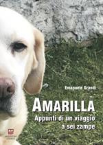 Amarilla. Appunti di un viaggio a sei zampe