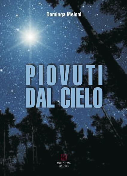 Piovuti dal cielo - Dominga Meloni - copertina