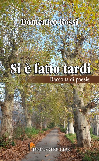 Si è fatto tardi. Raccolta di poesie - Domenico Rossi - copertina