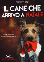 Il cane che arrivò a Natale