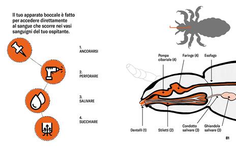 Manuale di sopravvivenza per pidocchi. Ediz. illustrata - Berta Páramo - 8