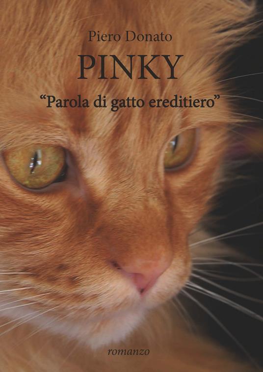 Pinky. Sui sentieri dell'anima - Piero Donato - copertina