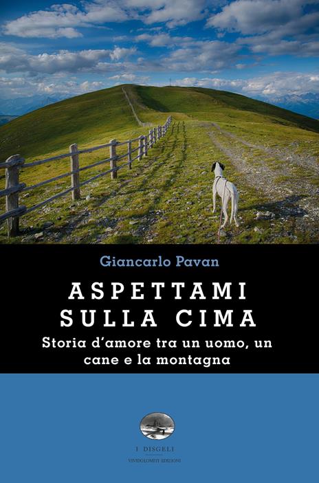 Aspettami sulla cima - Giancarlo Pavan - copertina