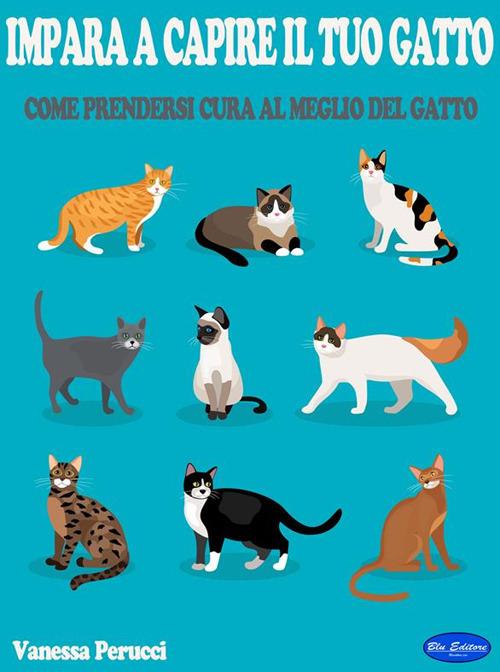 Impara a capire il tuo gatto. Come prendersi cura al meglio del