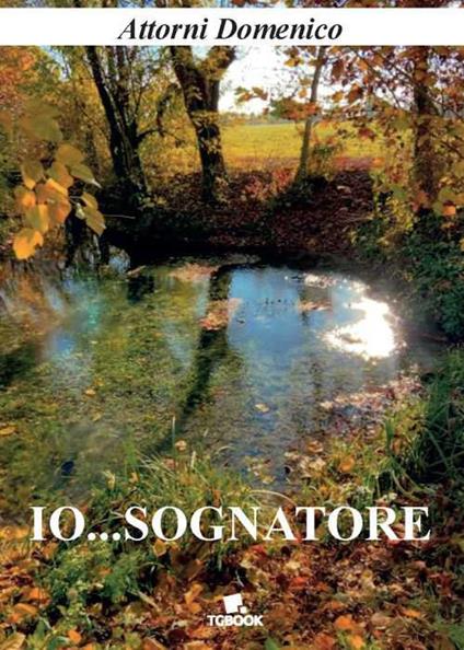 Io... Sognatore - Domenico Attorni - copertina