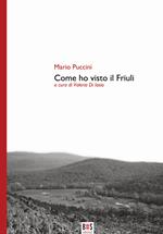 Come ho visto il Friuli. Ediz. critica