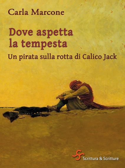 Dove aspetta la tempesta. Un pirata sulla rotta di Calico Jack - Carla Marcone - ebook