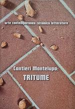 Cantieri Montelupo: Tritume. Arte contemporanea ceramica letteratura. Ediz. italiana e inglese