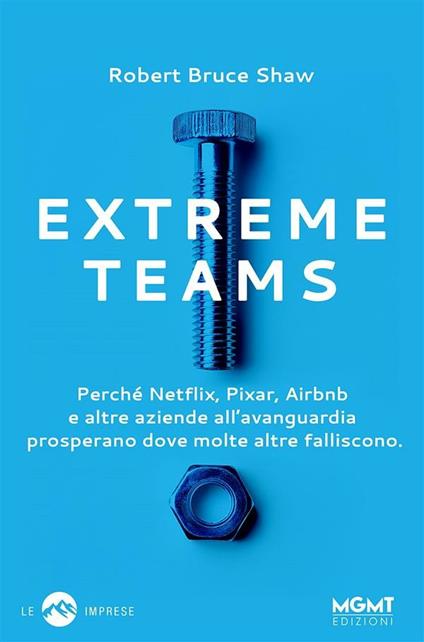 Extreme Teams. Perché Netflix, Pixar, Airbnb e altre aziende all'avanguardia prosperano dove molte altre falliscono - Robert Bruce Shaw - ebook