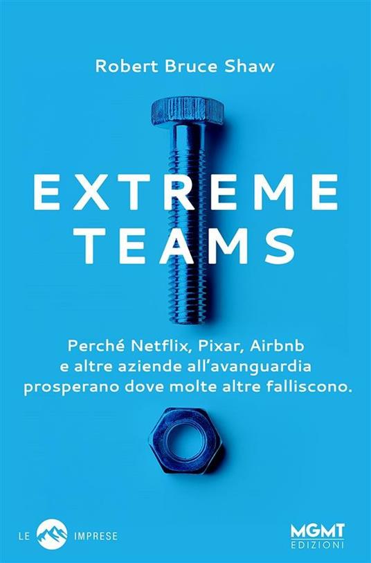 Extreme Teams. Perché Netflix, Pixar, Airbnb e altre aziende all'avanguardia prosperano dove molte altre falliscono - Robert Bruce Shaw - ebook