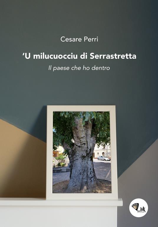 'U milucuocciu di Serrastretta. Il paese che ho dentro - Cesare Perri - copertina