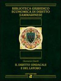 Il diritto sindacale e del lavoro - Giovanni Giardi - copertina