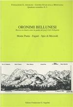 Oronimi bellunesi. Quaderno scientifico. Vol. 9: Ricerca di itinere sotto la guida prof.G.B.Pellegrini. Monte Punta, Fagarè, Spiz di Mezzodì.