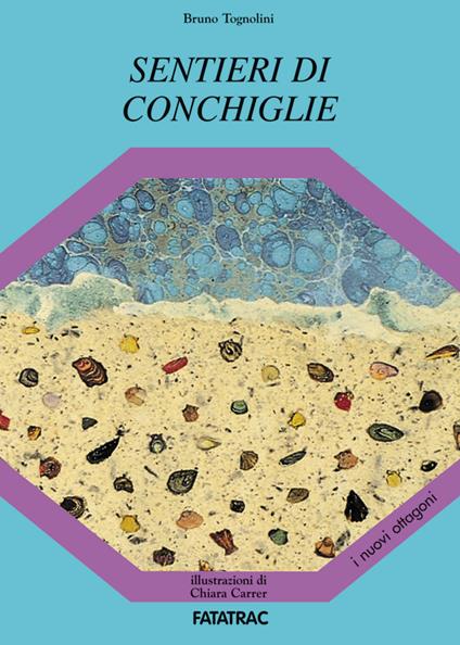 Sentieri di conchiglie - Bruno Tognolini - copertina