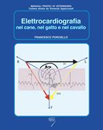 Elettrocardiografia nel cane, nel gatto e nel cavallo