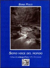 Sono voce del mondo - Boris Pesce - copertina