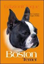 Boston Terrier