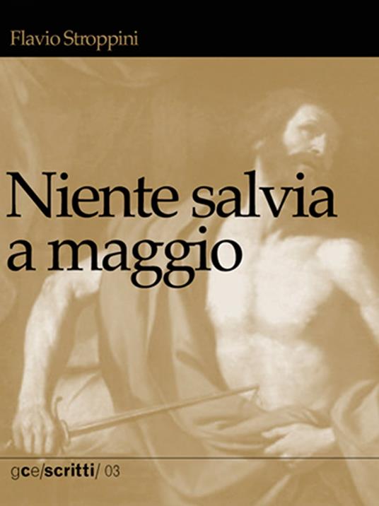 Niente salvia a maggio - Flavio Stroppini - ebook