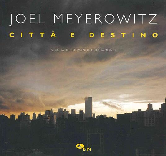 Città e destino. Ediz. illustrata - Joel Meyerowitz - copertina