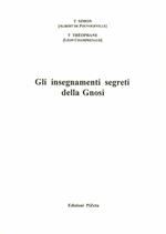 Gli insegnamenti segreti della gnosi