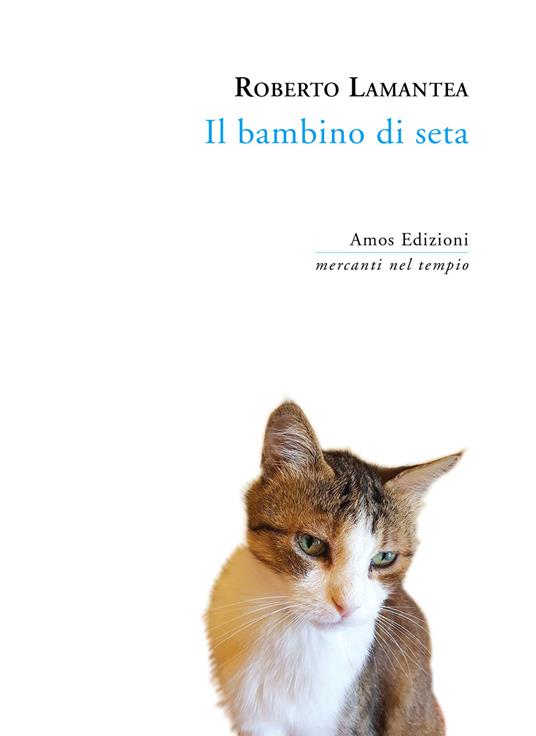 Il bambino di seta - Roberto Lamantea - copertina