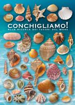 Conchigliamo! Alla ricerca dei tesori del mare. Ediz. illustrata