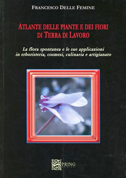 Atlante delle piante e della flora spontanea in terra di lavoro. Ediz. illustrata - Francesco Delle Femine - copertina