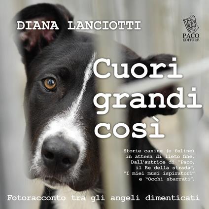 Cuori grandi così. Fotoracconto tra gli angeli dimenticati - Diana Lanciotti - copertina