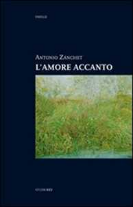 Image of L' amore accanto